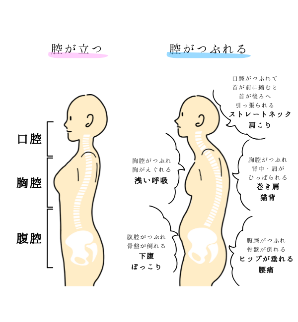 さとう式3つの基本イラスト