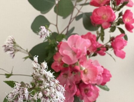 🌿庭の癒しと、身体を緩めるケア🌿